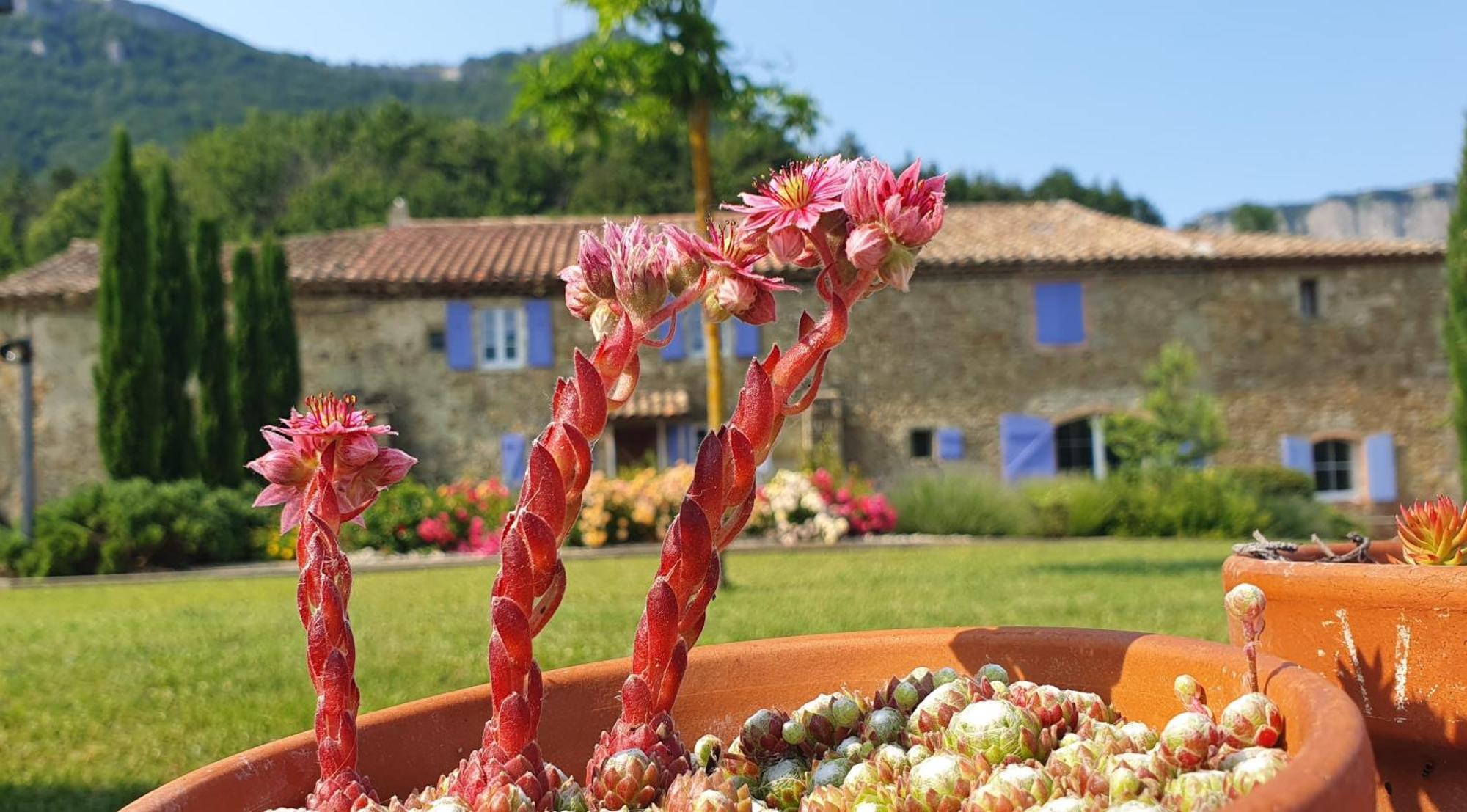 Chambres D'Hotes Le St Maurice Truinas Esterno foto